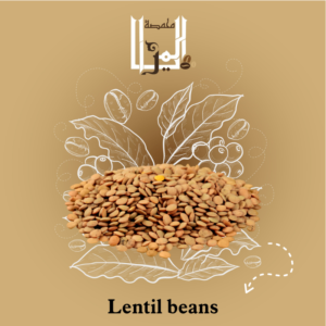 Lentil beans