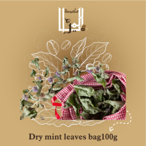 Dry mint leaves bag100g